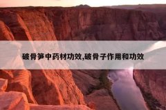 <b>�ƹ�����ҩ�Ĺ�Ч,�ƹ������ú͹�Ч</b>