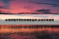 <b>ˮ����ֲ��ҩ������ЩƷ��,ˮ��ҩ��ֲ��</b>