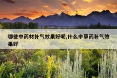 <b>��Щ��ҩ�Ĳ���Ч������,ʲô�в�ҩ����Ч����</b>