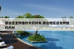 <b>��̨������ֲ����ҩ����,��̨�����ʺ���ֲ��ҩ��</b>