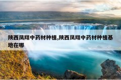 <b>����������ҩ����ֲ,����������ҩ����ֲ��������</b>