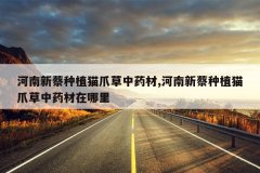 <b>�����²���ֲèצ����ҩ��,�����²���ֲèצ����ҩ��������</b>