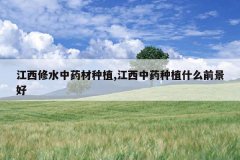 <b>������ˮ��ҩ����ֲ,������ҩ��ֲʲôǰ����</b>