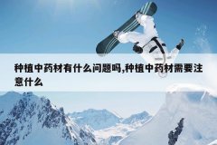 <b>��ֲ��ҩ����ʲô������,��ֲ��ҩ����Ҫע��ʲô</b>