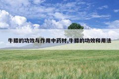 <b>ţϥ�Ĺ�Ч��������ҩ��,ţϥ�Ĺ�Ч���÷�</b>