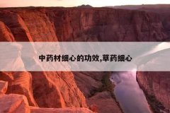 <b>ҩϸĵĹЧ,ҩϸ</b>