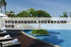 <b>��ҩ�ʲݹ�Ч��ɶҩ��,��ҩ�ʲ���ʲô��Ч������</b>