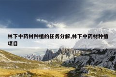 <b>������ҩ����ֲ������ֽ�,������ҩ����ֲ��Ŀ</b>