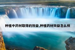 <b>��ֲ��ҩ��ȡ�õ�Ч��,��ֲҩ��Ч����ô��</b>