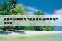 <b>������ҩ�Ĺ�Ч������,������ҩ�Ĺ�Ч������ͼƬ</b>