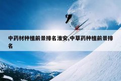 <b>��ҩ����ֲǰ����������,�в�ҩ��ֲǰ������</b>