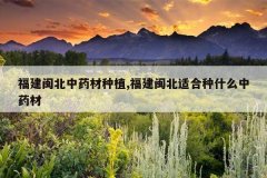 <b>����������ҩ����ֲ,���������ʺ���ʲô��ҩ��</b>