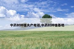 <b>��ҩ����ֲ�󻧵绰,��ҩ����ֲ����</b>