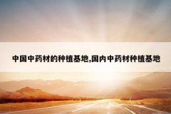 <b>�й���ҩ�ĵ���ֲ����,������ҩ����ֲ����</b>