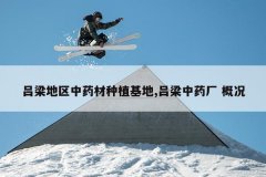 <b>����������ҩ����ֲ����,������ҩ�� �ſ�</b>