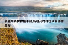 <b>�½���ҩ����ֲƽ̨,�½�ҩ����ֲ��Ŀ�������</b>