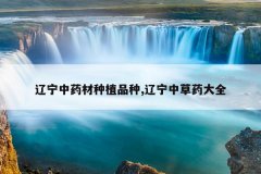 <b>������ҩ����ֲƷ��,�����в�ҩ��ȫ</b>