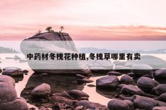 <b>��ҩ�Ķ�������ֲ,��������������</b>