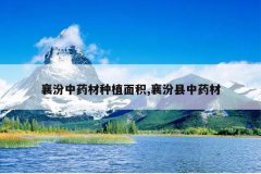 <b>�����ҩ����ֲ���,�������ҩ��</b>