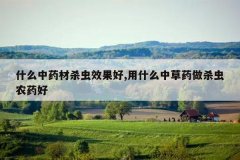 <b>ʲô��ҩ��ɱ��Ч����,��ʲô�в�ҩ��ɱ��ũҩ��</b>