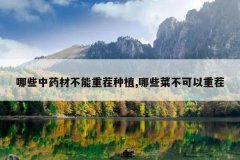 <b>��Щ��ҩ�Ĳ����ز���ֲ,��Щ�˲������ز�</b>