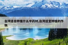 <b>̨���ʺ���ֲʲô��ҩ��,̨��������ֲ������</b>