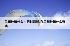 <b>������ֲʲô��ҩ�����,��������ֲʲô׬Ǯ</b>