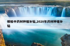 <b>ͩ����ҩ����ֲ����,2020��ҩ����ֲ����</b>