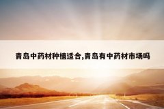 <b>�ൺ��ҩ����ֲ�ʺ�,�ൺ����ҩ���г���</b>