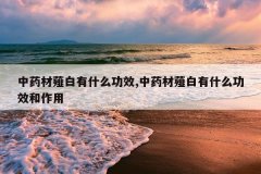 <b>��ҩ��ޯ����ʲô��Ч,��ҩ��ޯ����ʲô��Ч������</b>