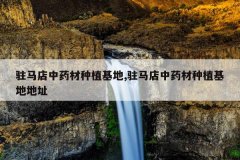 <b>פ������ҩ����ֲ����,פ������ҩ����ֲ���ص�ַ</b>