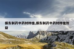 <b>����ҩ��ҩ����ֲ,����ҩ��ҩ����ֲЧ��</b>