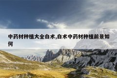 <b>��ҩ����ֲ��ȫ����,������ҩ����ֲǰ�����</b>