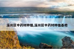 <b>�ʹ�����ҩ����ֲ,�ʹ�����ҩ����ֲ����</b>