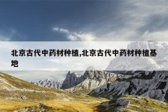 <b>�����Ŵ���ҩ����ֲ,�����Ŵ���ҩ����ֲ����</b>