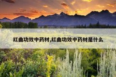 <b>������Ч��ҩ��,������Ч��ҩ����ʲô</b>