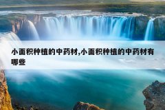 <b>С�����ֲ����ҩ��,С�����ֲ����ҩ������Щ</b>