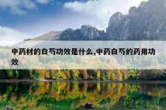 <b>��ҩ�ĵİ��ֹ�Ч��ʲô,��ҩ���ֵ�ҩ�ù�Ч</b>