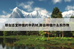 <b>��̨������ֲ����ҩ��,��̨��ֲʲôũ����</b>