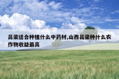 <b>�����ʺ���ֲʲô��ҩ��,ɽ��������ʲôũ�����������</b>