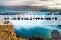 <b>������ҩ����ֲ����,������ҩ����ֲ����Ҫ���</b>