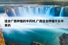 <b>�ʺϹ�����ֲ����ҩ��,�����ʺ���ֲʲô�в�ҩ</b>