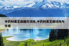 <b>��ҩ�ĺ�֥��ͼƬ��Ч,��ҩ�ĺ�֥�鹦Ч������</b>