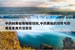 <b>��ҩ�Ļư�����Щ��Ч,��ҩ�ưصĹ�Ч�����ü�ʳ�÷�������</b>