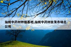 <b>������ҩ����ֲ����,������ҩ�������г��ܹ�˾</b>