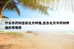 <b>ʲô��ҩ����Ӧ������ֲ,�ʺϱ�����ҩ����ֲ������Щ</b>