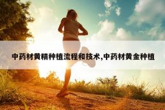 <b>��ҩ�Ļƾ���ֲ���̺ͼ���,��ҩ�Ļƽ���ֲ</b>