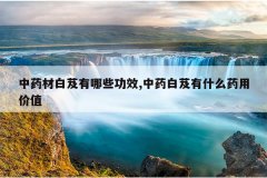 <b>��ҩ�İ�ܸ����Щ��Ч,��ҩ��ܸ��ʲôҩ�ü�ֵ</b>