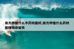 <b>�Ϸ���ֲʲô��ҩ�����,�Ϸ���ֲʲôҩ����׬Ǯ�����</b>