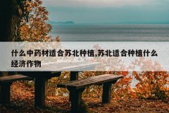 <b>ʲô��ҩ���ʺ��ձ���ֲ,�ձ��ʺ���ֲʲô��������</b>